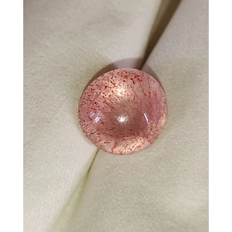 KECUBUNG BULU MERAH KECUBUNG RAMBUT MERAH KECUBUNG KEPING MERAH