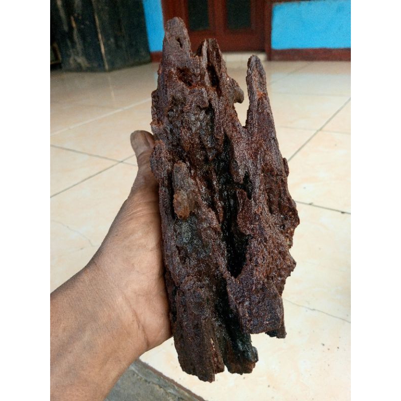 kayu aquascape ful tenggelam