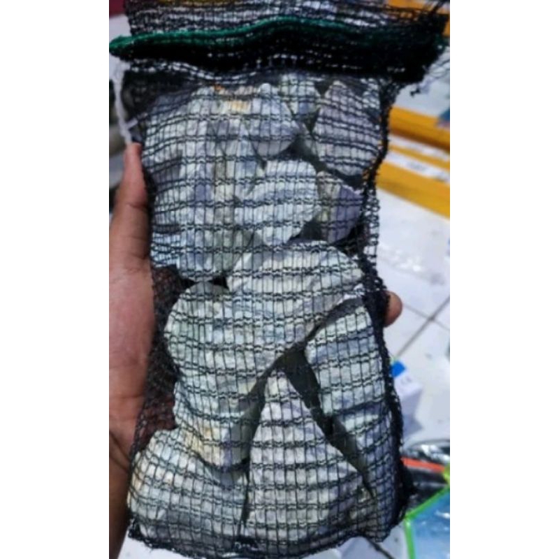 zeolite 1kg plus kantong waring siap pakai/zeolite media filter/zeolit media filter/batu zeolite