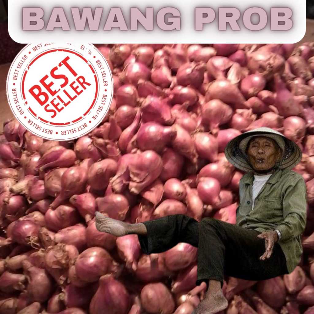 

Bawang Merah Super Lokal Probolinggo Pilihan Orang Jawa