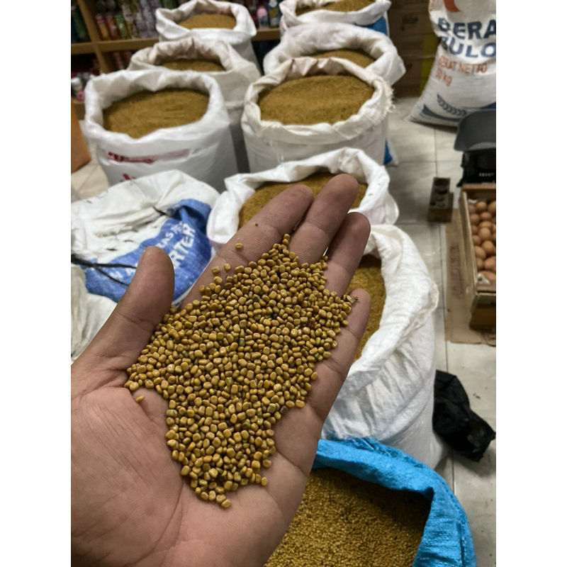 

1 KG BENIH CM / COLOPOGIUM MUCUNOIDES