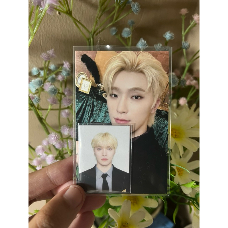 DINO - Seventeen hotel carat membership