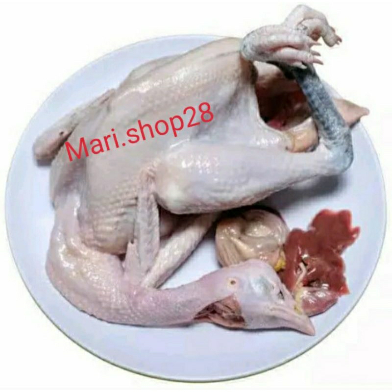 

Ayam kampung segar frozen
