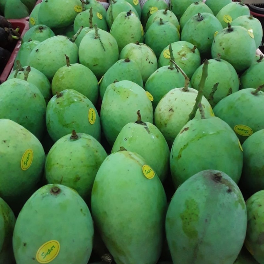 

Mangga Indramayu Jumbo 1Kg