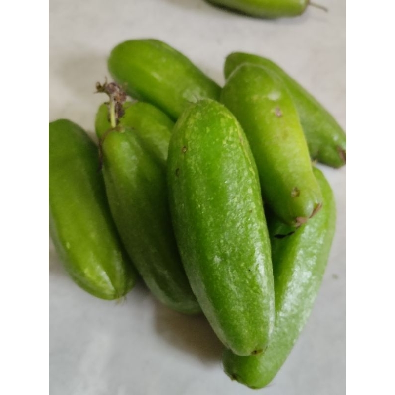

buah belimbing wuluh segar paket 12 butir