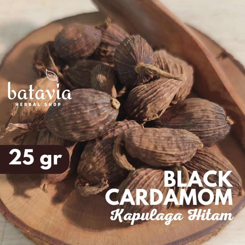 

Black Cardamom Kapulaga Hitam Cao Guo Badi Elaichi Premium Herbs Time