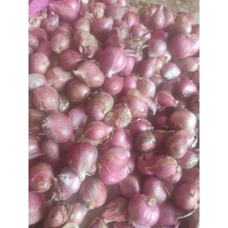 

bawang merah probolinggo ukuran kecil asli Probolinggo dari petani berat 1kilo bawang kering bawang kecil