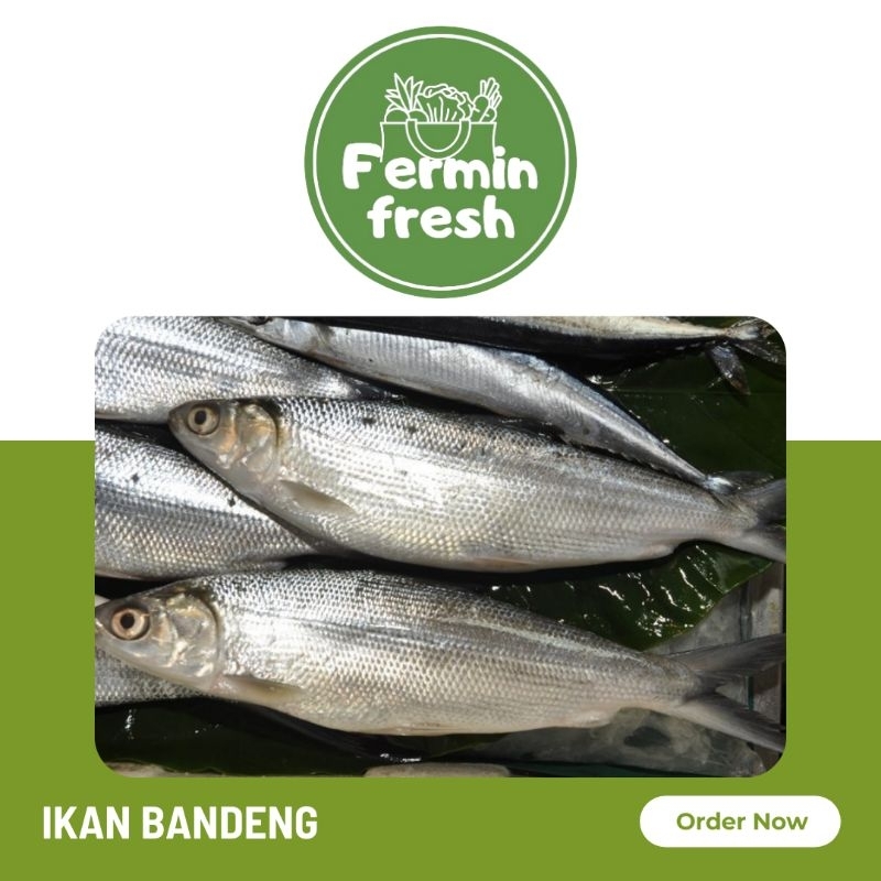 

Fermin Fresh, Ikan bandeng segar 500gr