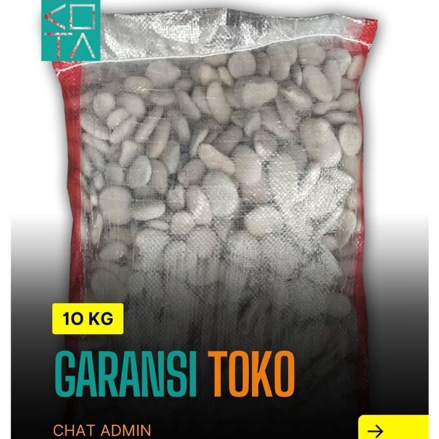 KI3  1 Kg Batu Coral Kupang Putih  Sebesar Koin 5an 1 kg Koral Krikil KEcil  Besar Karung Karungan K
