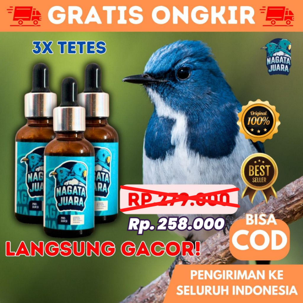 3 BOX JUARA LOMBA GANTANGAN VITAMIN PENGGACOR BURUNG NAGATA JUARA OFFICIAL TingkatkanStaminaburung