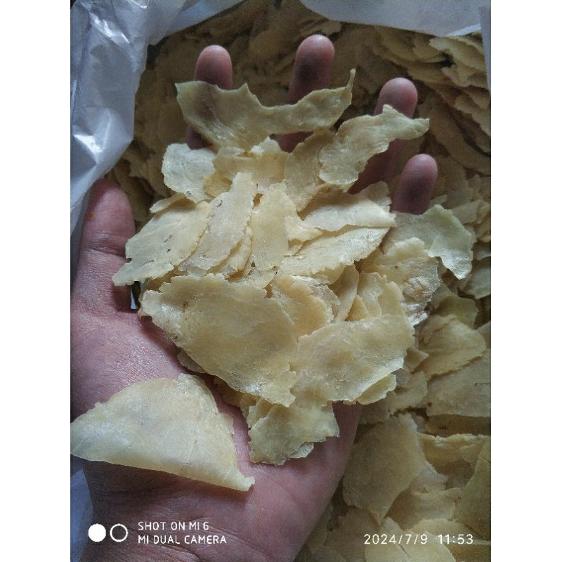 

EMPING PECAHAN KUALITAS NO.1 || EMPING MELINJO ASLI LIMPUNG |EMPING BELINJO || 500gr