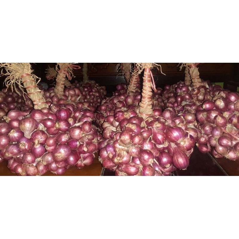 

promo bawang unting 1 kg