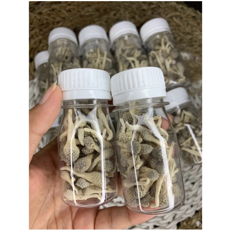 

READY JAMU MPOT MADURA ISI 80 biji