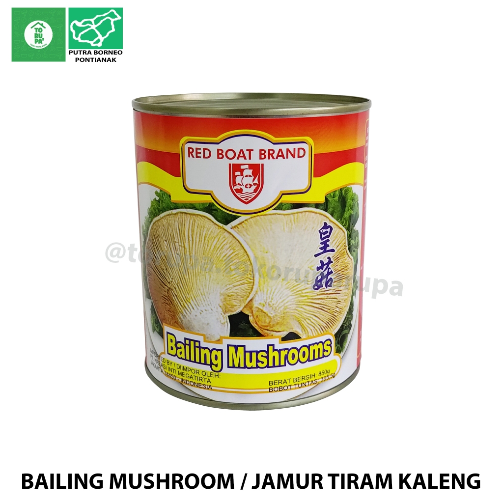 

Jamur Tiram Kaleng Redboat 825gr / Bailing Mushroom / Jamur Kaleng / Jamur Praktis