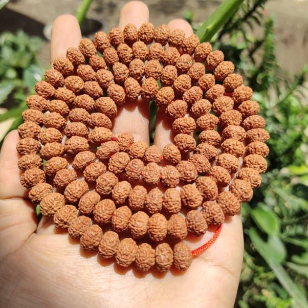 KODE Y2Y Kalung jenitri mukhi 1 rudraksha mala 18