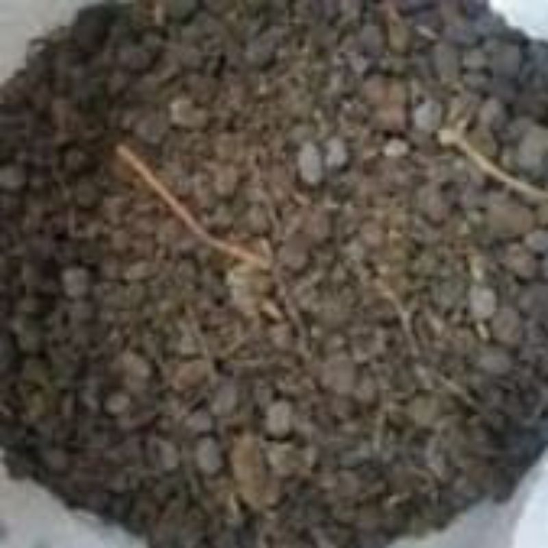 Pupuk Kandang Kohe Kambing Murni