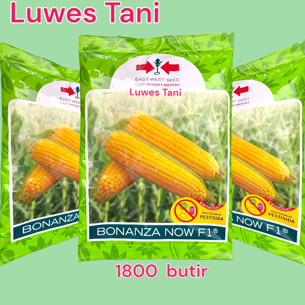 KODE J92T BONANZA NOW F1 18 butir bonanza f1 jagung manis