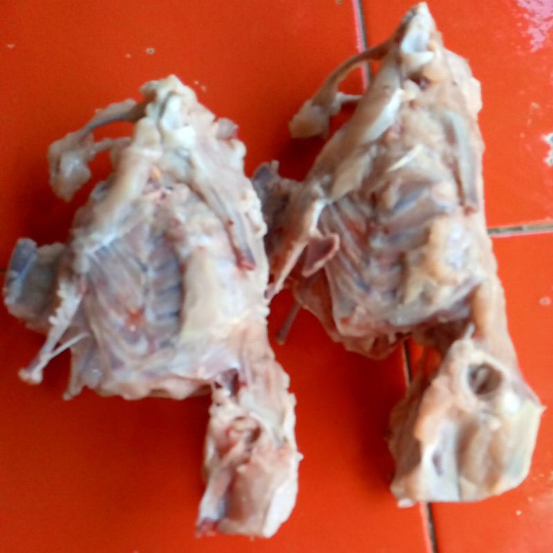 

rongkong tulset/kering