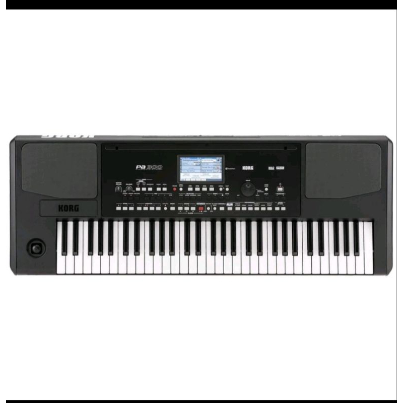 [Bonus instaled style song] Keyboard Arranger Korg PA300 pa-300 Korg Original