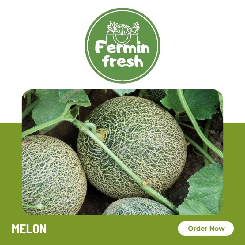 

Fermin Fresh, Melon 1500gr