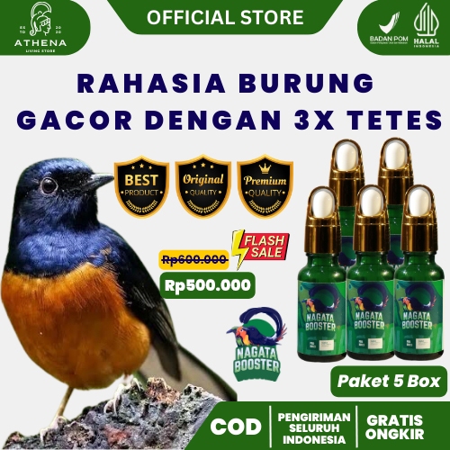 NAGATA 5 BOX I NAGATA BOOSTER ATASI MABUNG BURUNG PENGGACOR BURUNG ORIGINAL ASLI OFFICIAL STORE i NA