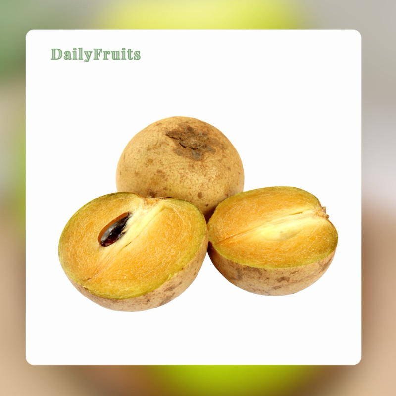 

Sawo Madu Fresh 1Kg | DailyFruits