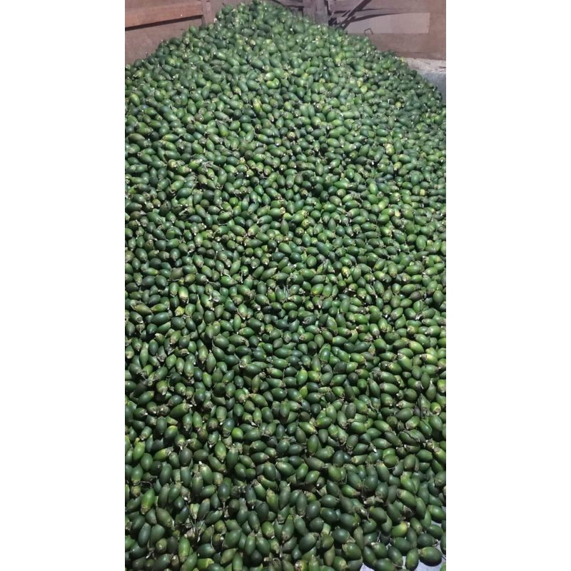 

pinangmuda/pinangjus