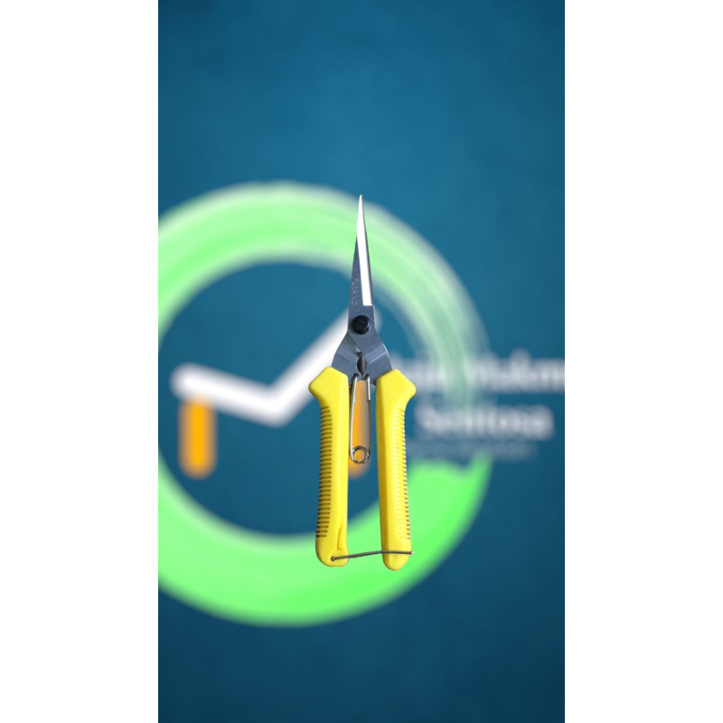 

gunting serba guna / gunting dahan / gunting besi / rangkai bunga