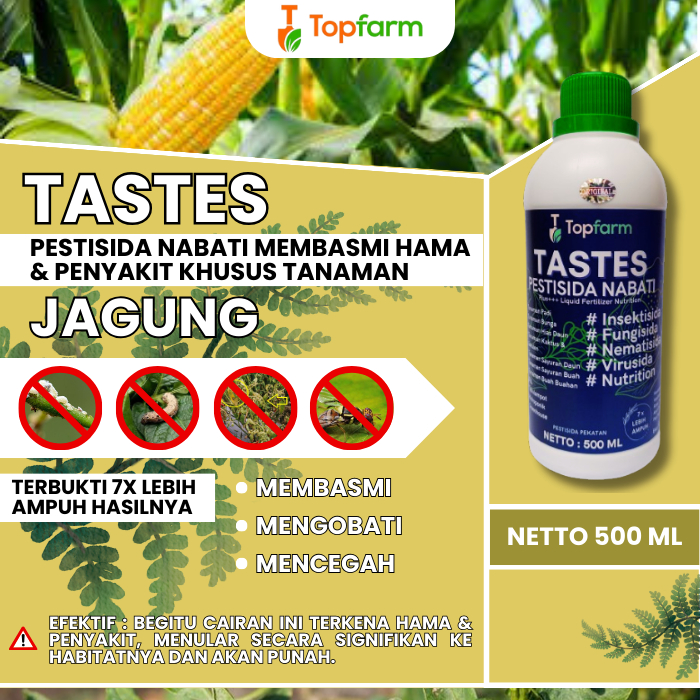 Obat Ulat Jagung Paling Ampuh / Obat Ulat Pada Tanaman Jagung / Obat Untuk Hama Ulat Pada Jagung / O