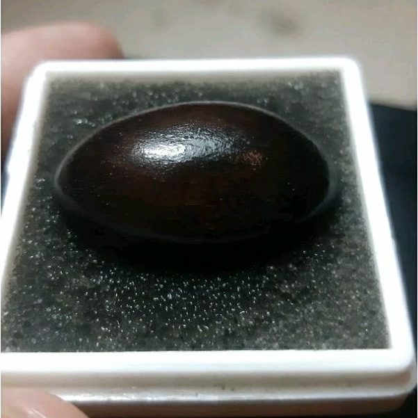 Kayu wunglen hitam