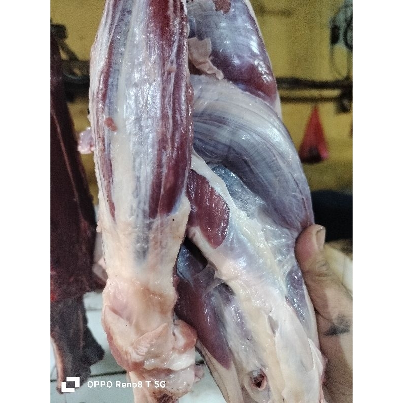 

Daging sengkel kembang, sapi fresh 500gr