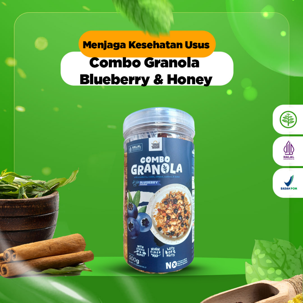 

COMBO GRANOLA TIMUR TENGAH - Granola Blueberry & Honey - 500GR