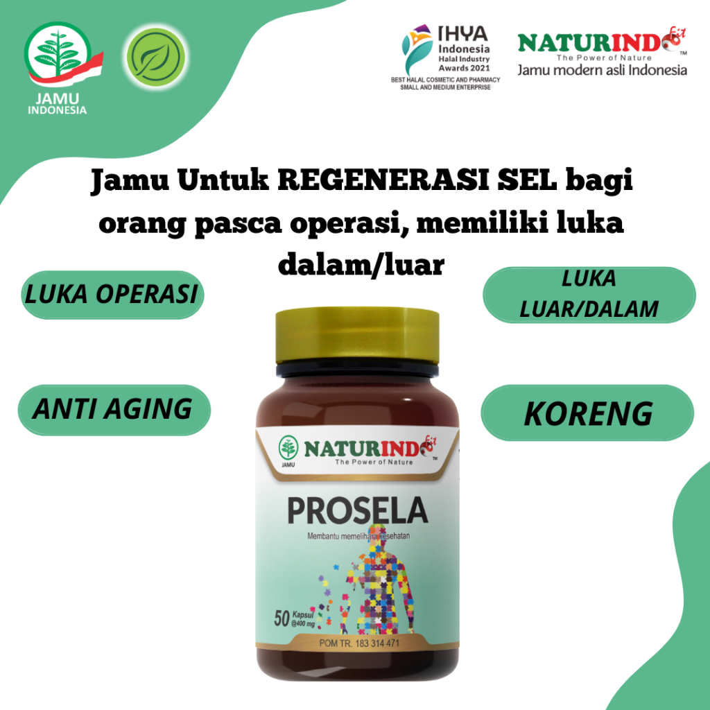 Obat Herbal Penghilang Bekas Luka Koreng Cacar Gigitan Nyamuk Keloid Bekas Prosela Naturindo Fit