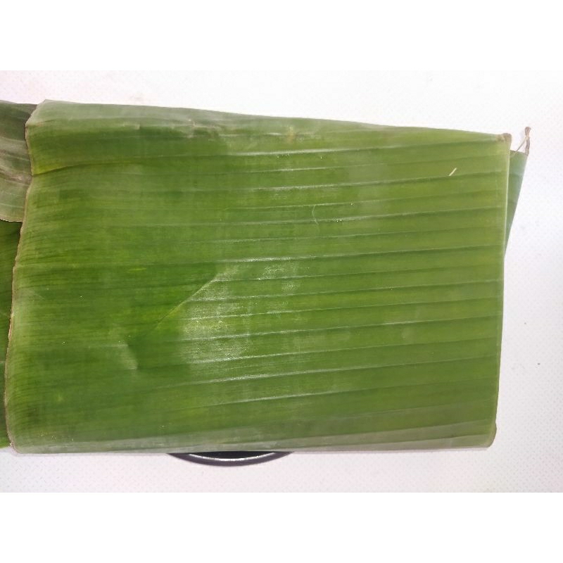 

daun pisang tebal