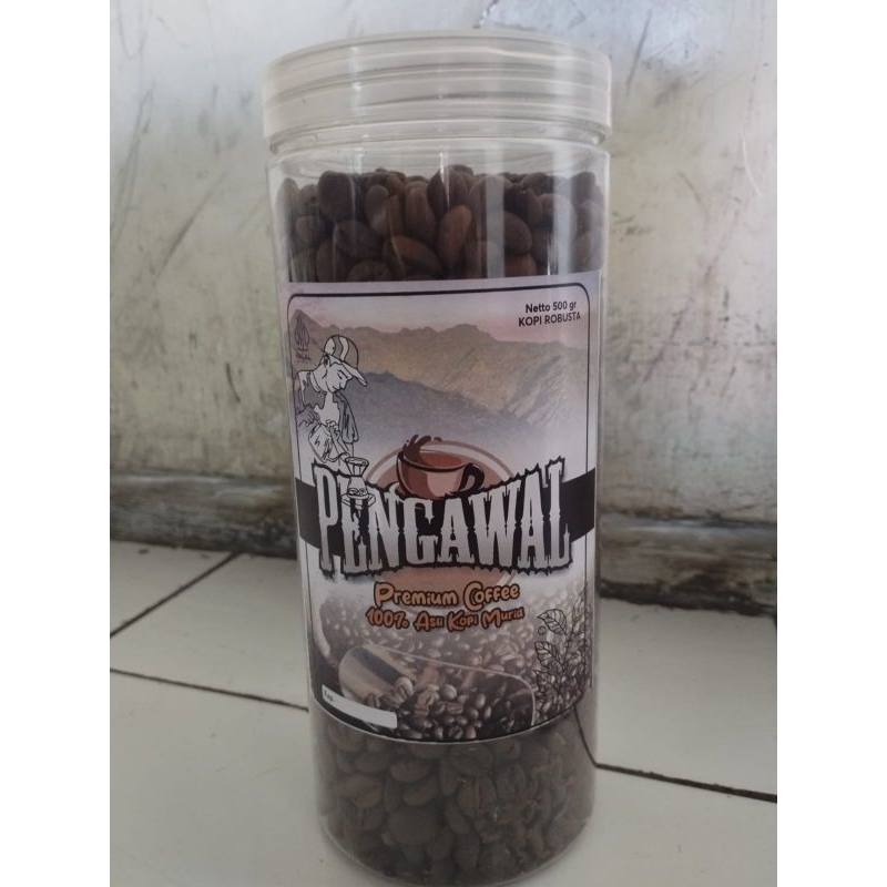 

biji kopi robusta sangrai