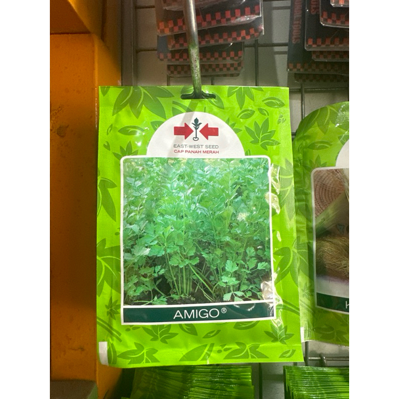 

Daun sop/ seledri Amigo 10.000 butir panah merah