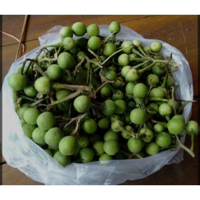 

Buah Cepokak atau Takokak segar 1 kg