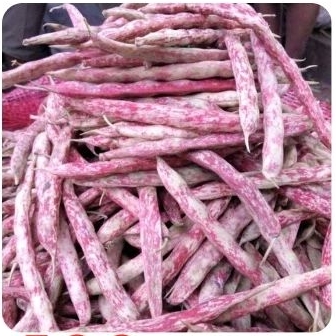 

Kacang Merah Kulit Organik - 500gr