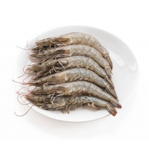 

Kirim Instan Udang Segar 500 gram Berkah Dunia Sayur