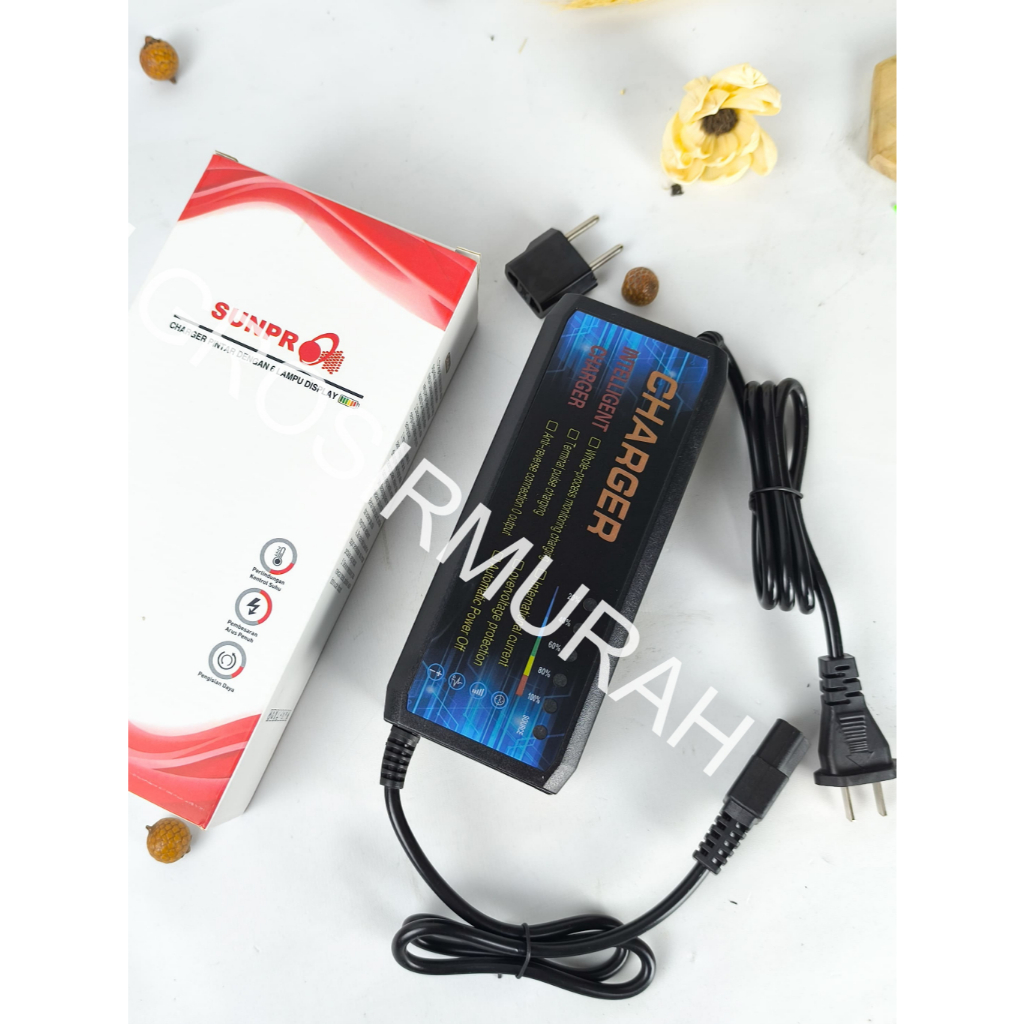 PROMO Charger sepeda listrik pengisi daya 48V12a/220V50hz / Universal Charger Motor Listrik / Charge