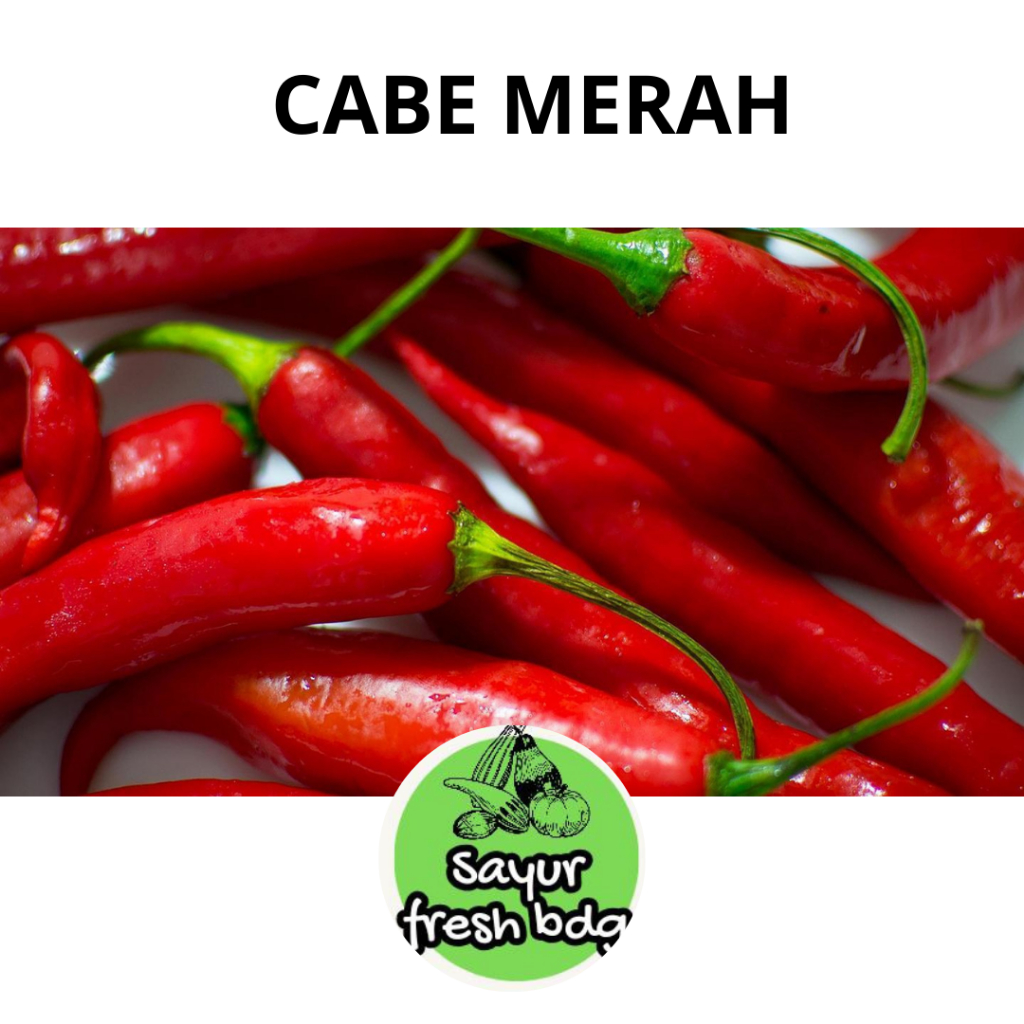 

CABE MERAH BESAR SAYUR FRESH