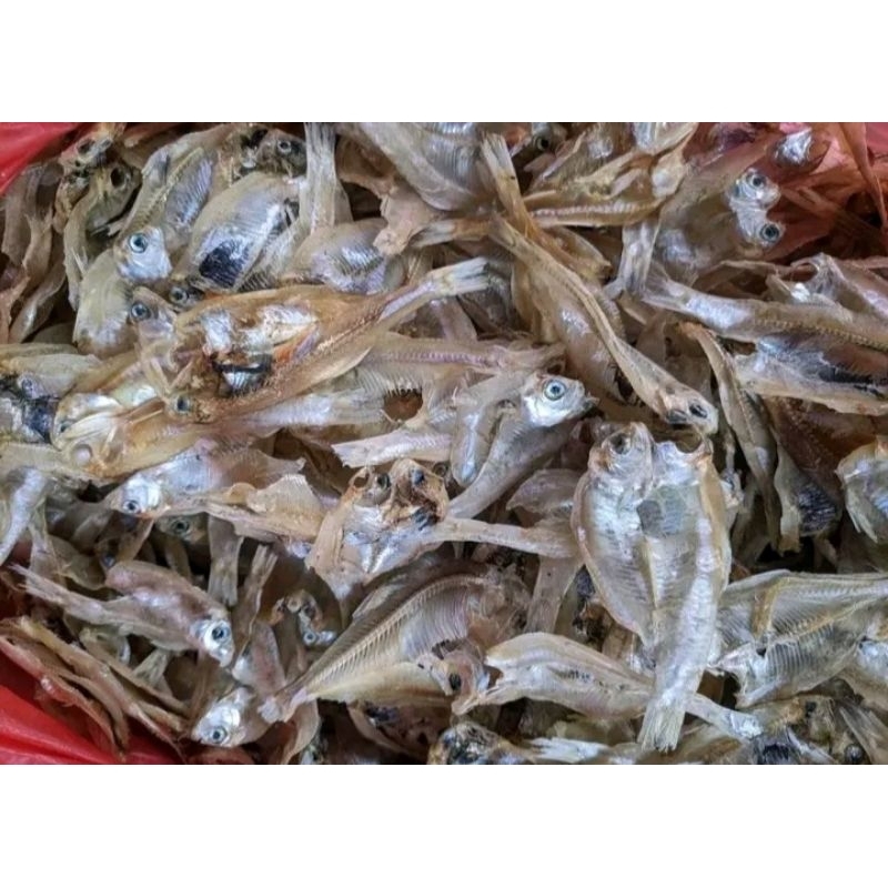 

ikan asin garing campur ikan asin kerong kerong bloso kepala batu gabus laut kemasan 200 grm