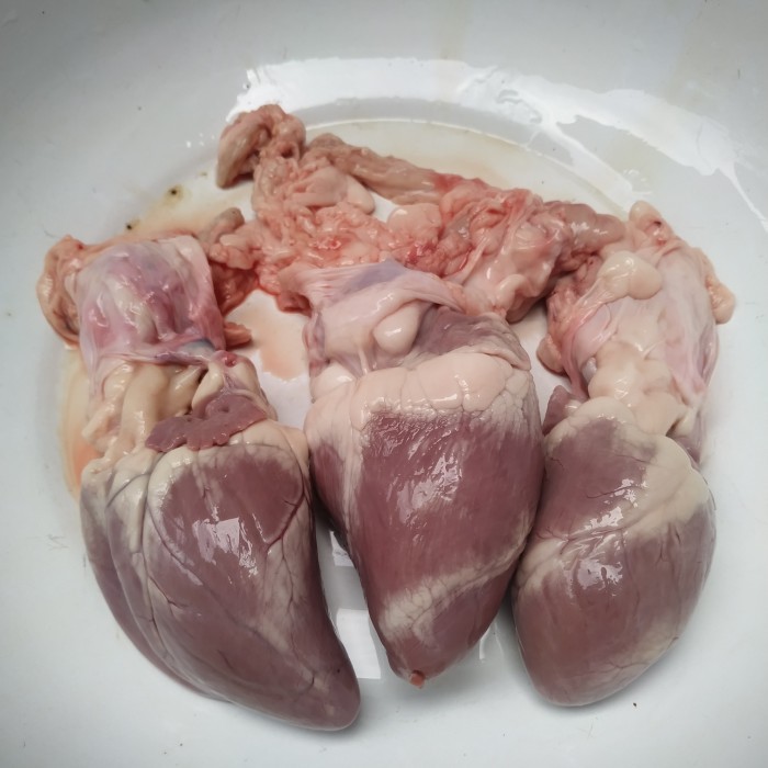 

Jantung Kambing 1 pcs