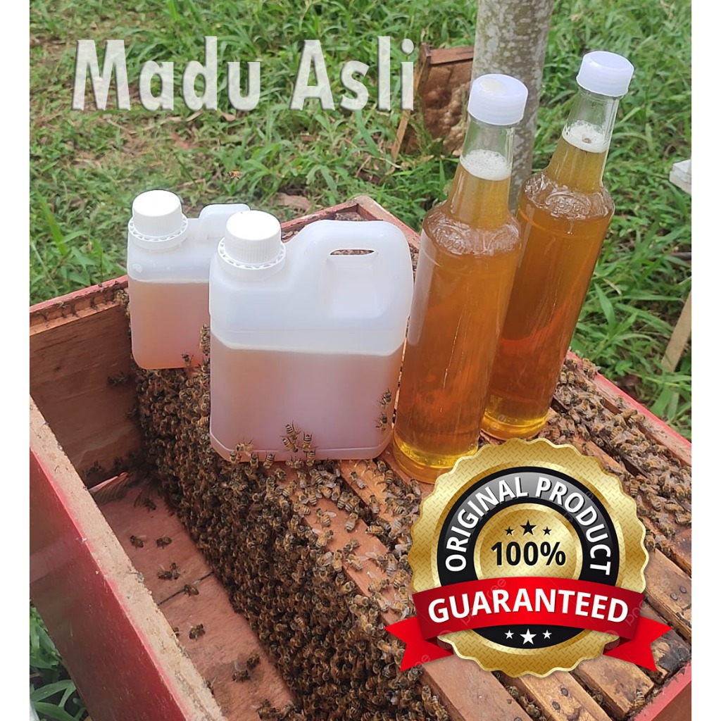 

Madu Murni Asli Nektar Multiflora 100% Alami Pure Raw Honey Grade A