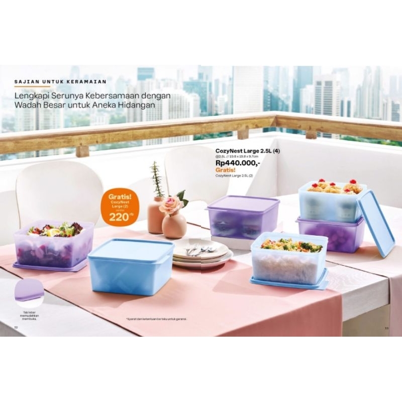 Tupperware Cozy Nest Large 2,5L (4) Free (2)