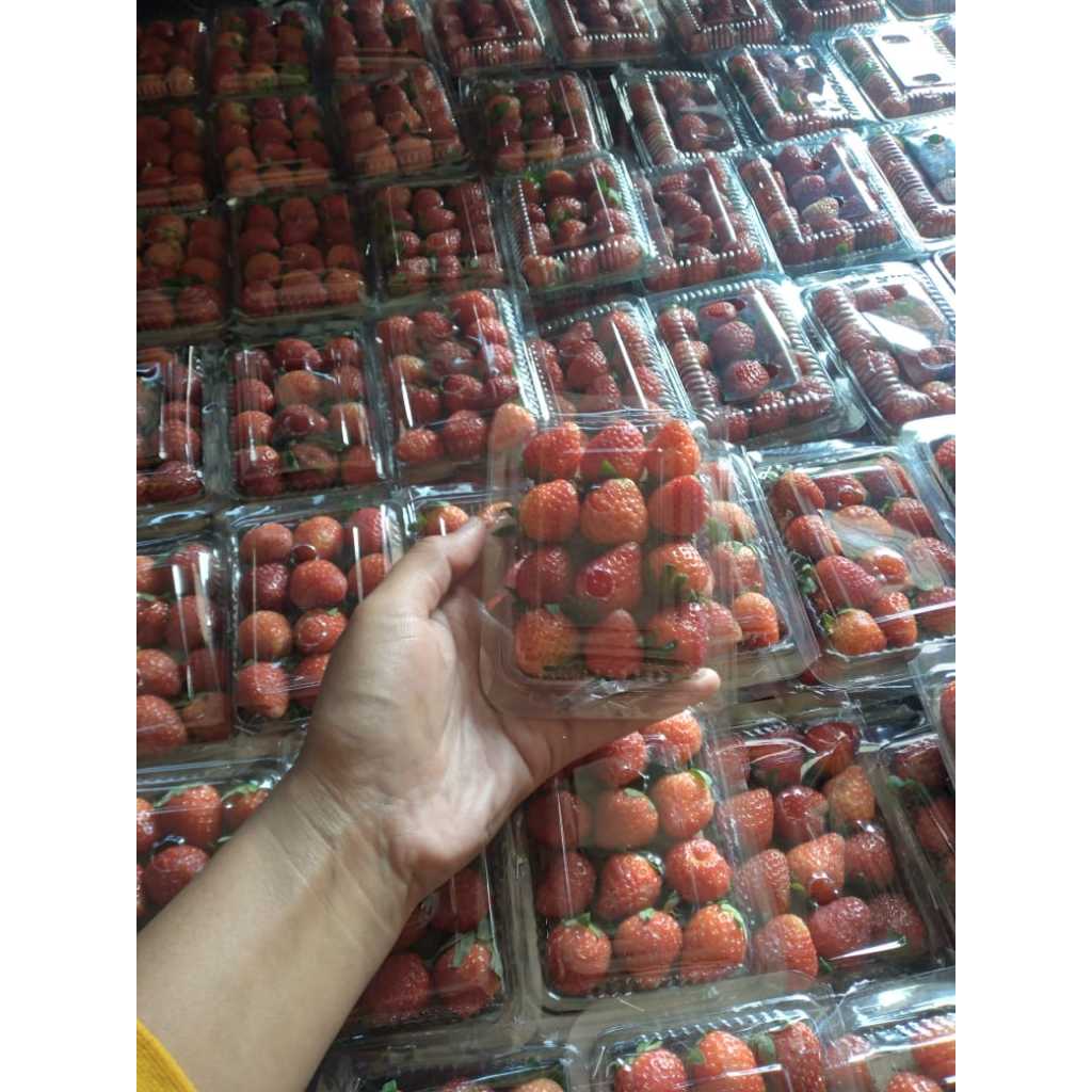 

Strawberry Mini 70gram - Sayur Segar Instan Malang