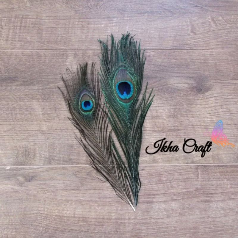 200 pcs Replika Bulu merak - Bulu merak pendek Imitasi - Bulu merak Kecil Imitasi