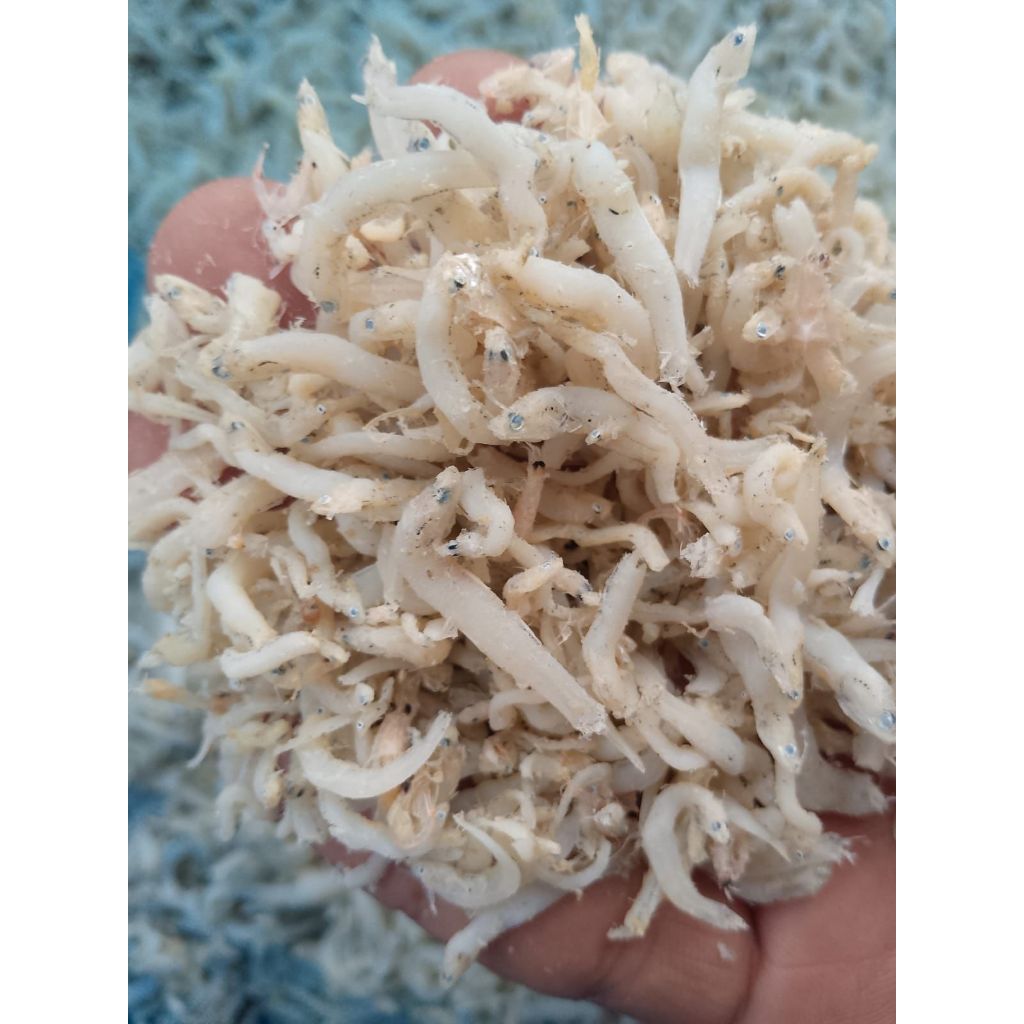 

Ikan Teri 1kg | Teri Putih |Teri Putih Best Seller Ikan Teri Premium | Ikan Teri Medan | Ikan Teri Nasi | Ikan Kering | Ikan Teri Asin | Anchovy Fish | Ikan Teri Murah | Ikan Teri Terbaik |Ikan Teri Kualitas Super |Ikan Teri high Quality