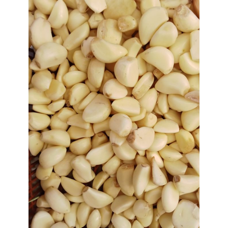 

bawang putih kupas 250grm