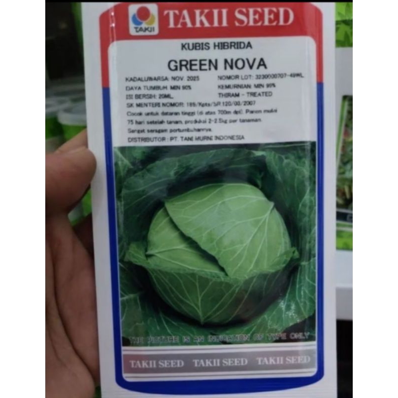 bibit kubis kol grenova